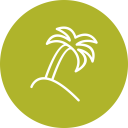 Plam Tree Leaf Icon