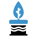 Nature Plant Growth Icon