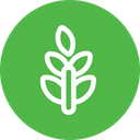 Plant Tree Leaf Icon