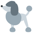 Poodle Dog Cute Icon