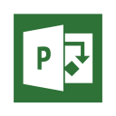 Professional Project Microsoft Icon