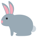 Rabbit Animal Test Icon