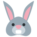 Rabbit Face Mammal Icon