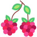 Raspberry Berry Berries Icon