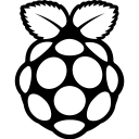 Raspberry pi Icon