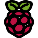 Raspberrypi Icon