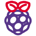 Raspberrypi Technology Logo Social Media Logo Icon