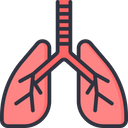Respiratory Care Icon