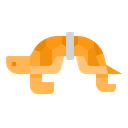 Turtle Plastic Animal Icon