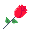 Rose Day Love Icon