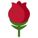 Rose Flower Bloosom Icon