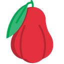 Roseapple Icon