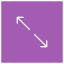 Scale Icon