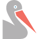 Seagull Bird Gulls Icon