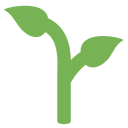 Seedling Young Leaf Icon