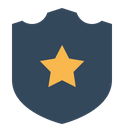 Shield Batch Star Icon
