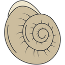 Slow Turtle Snail Mollusc Icon