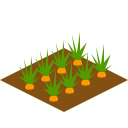 Soil Plant Icon