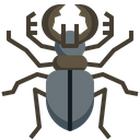 Stag Beetle Beetle Animal Kingdom Icon