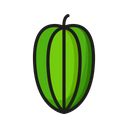Star Fruit Icon