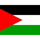 State Of Palestine Icon