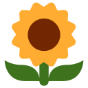 Sunflower Flower Plant Icon