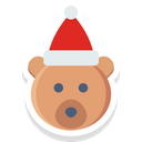Baby Bear Face Icon