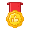 Thumb Up Medal Prize Icon