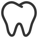 Tooth Anatomy Body Icon