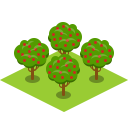 Tree Apple Icon