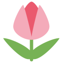 Tulip Flower Rose Icon