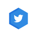 Twitter Social Media Logo Icon