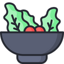 Veg Food Salad Bowl Salad Icon