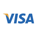 Visa Logo Online Icon
