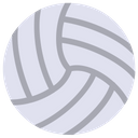 Volleyball Ball Beach Ball Icon