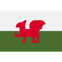 Wales European Welsh Icon