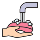 Washing Hands Hygienic Hands Icon
