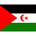Western Sahara Flag Icon
