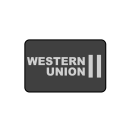 Westernunion Credit Debit Icon