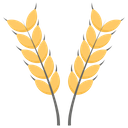Wheat Ear Ear Corn Grain Icon