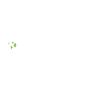 Windows Update Microsoft Icon