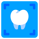 X Ray X Rays Dental Icon