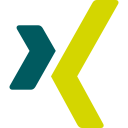 Xing Logo Social Icon