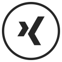 Xing Social Logo Icon