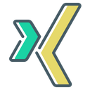 Xing Icon