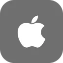 Apple Flat Logo Icon