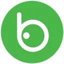Badoo Logo Identity Icon