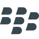 Blackberry Logo Icon