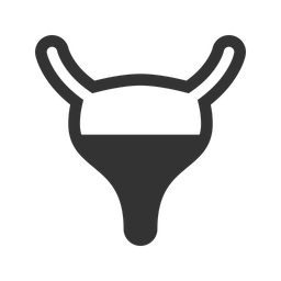 Bladder Icon - Download in Glyph Style