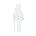 Joint Skeleton Bone Icon